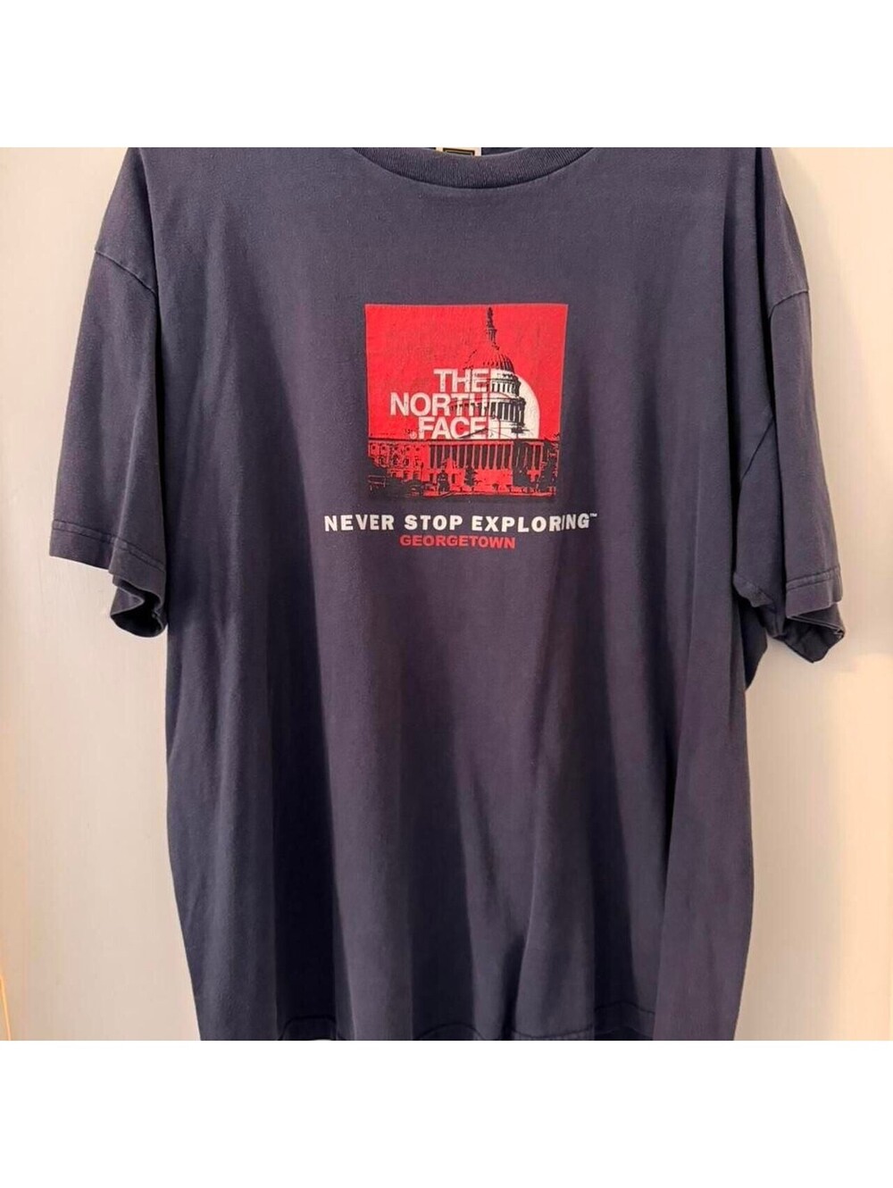 The North Face Men's Large Navy Blue Graphic T-Shirt